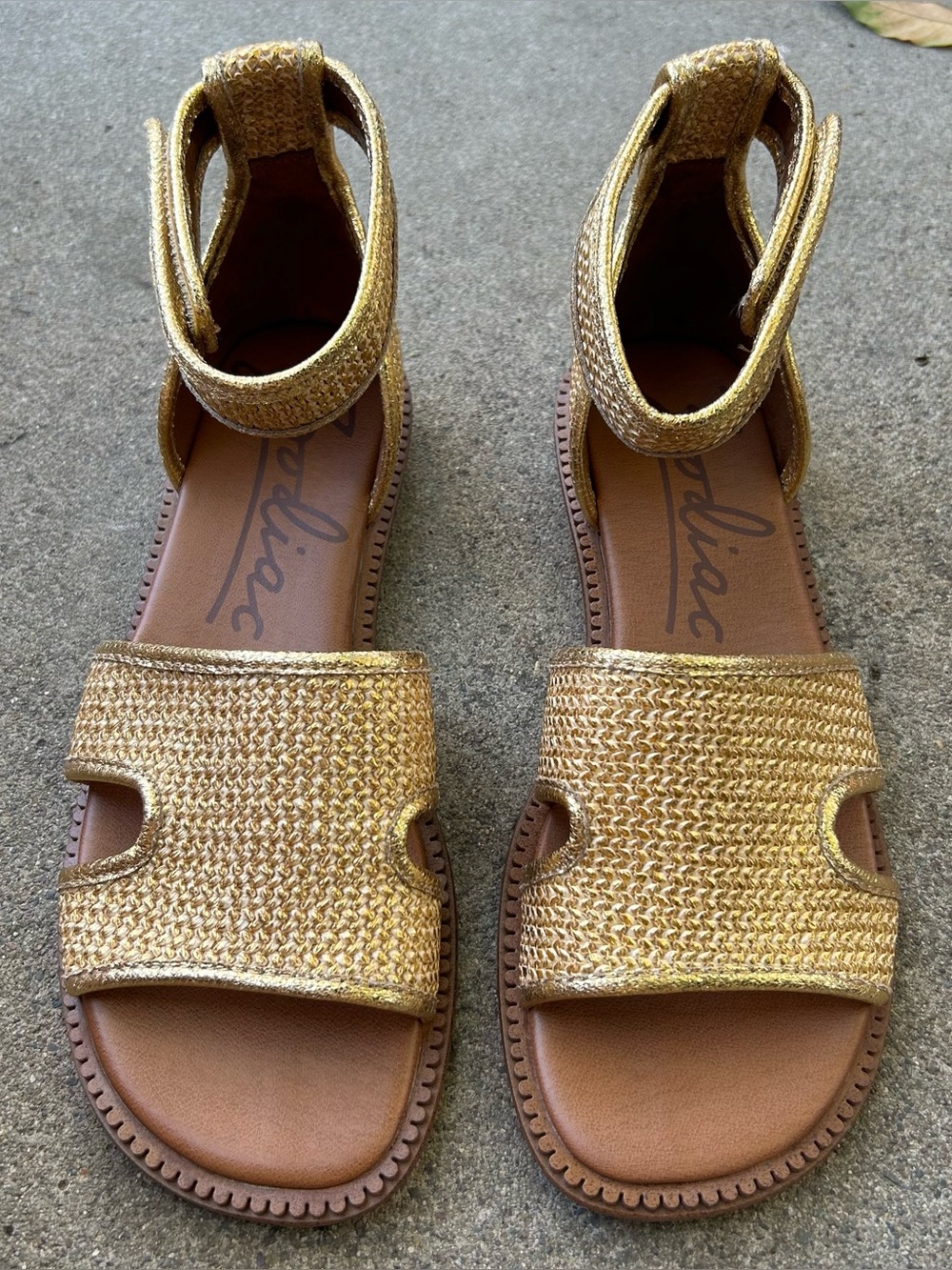 Zodiac Women's Fran Ankle-Strap Flat Sandals - Picture 1 of 8